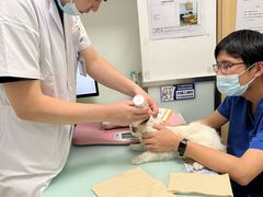 -宠福鑫康馨动物医院·骨科·眼科