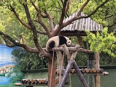 -上海野生动物园