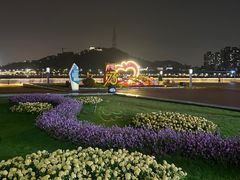 -野狸岛