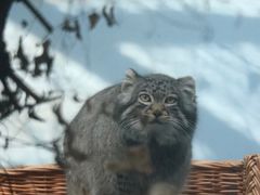 -青藏高原野生动物园