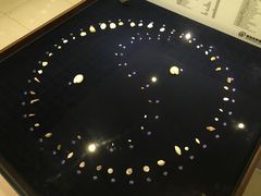 -青岛贝壳博物馆