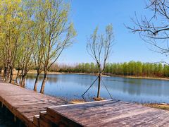 -东郊湿地公园