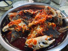 -风鑫铃罗非鱼(道沟店)