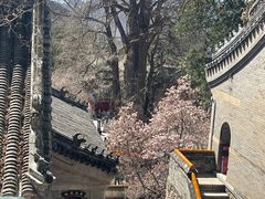 -潭柘寺景区