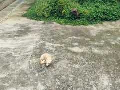 -昆明动物园