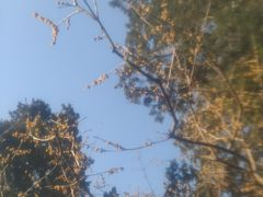 -北京植物园-展览温室