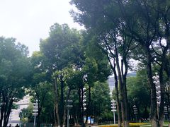 -重庆市江北嘴中央商务区中央公园