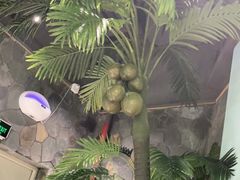 -春润大地海南椰子鸡(沙井京基百纳广场店)