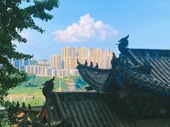 -磁器口古镇