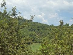 -广州白江湖森林公园