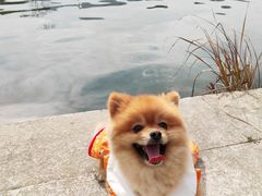 -绩溪龙川景区