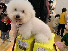 -五缘湾悦都汇购物中心