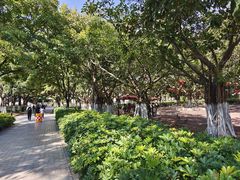 -厦门大学(思明校区)