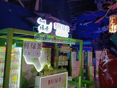 -烟台海昌鲸鲨海洋公园