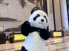 -苏州金科大酒店