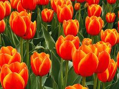 -玄武湖景区-情侣园游乐场