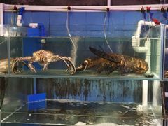 水产区-辉记炭烧海鲜大排档·老字号(福田店)