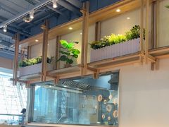 -翡翠拉面小笼包Crystal Jade(上海浦东国际机场T1店)