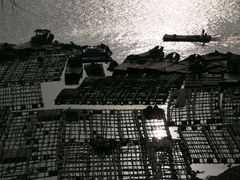 -北岐滩涂