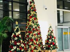 -班达拉奈克国际机场