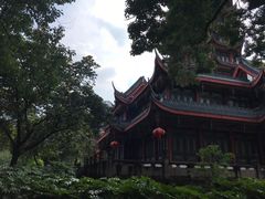 -塔子山公园