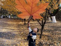 -长白岛森林公园