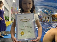 -鲨鱼游泳培训中心