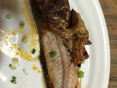 -小杨烤肉(朱雀店)