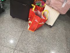 -舜华临武鸭(岳阳东站)