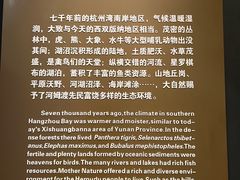 -河姆渡遗址博物馆