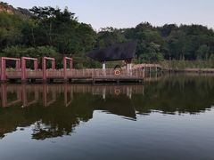 -神光山国家森林公园