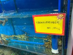 -蚝专家(北滘店)
