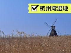 -宁波杭州湾国家湿地公园