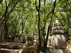 -天津盘山风景名胜区