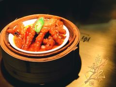 -南枝记