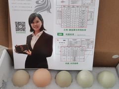 -西南交通大学(九里校区)