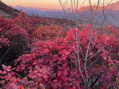 -水峪民俗村
