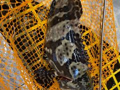 -青石桥市场北1-27号