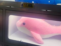 -苏州海洋馆
