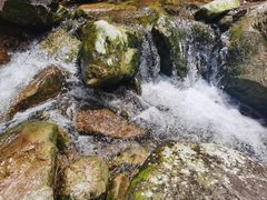 -南海湾森林生态园