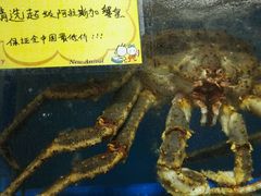 -蚝专家(北滘店)