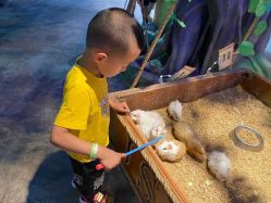 -酷嗒动物文化乐园(cutezoo西溪乐天城店)