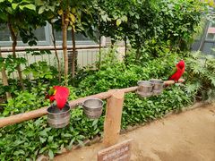 -南宫五洲植物乐园