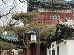 -迎泽公园