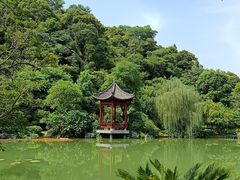 -云溪植物园
