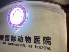 -宠爱国际动物医院·疑难骨科·心肾内科·皮肤科(太阳宫店)