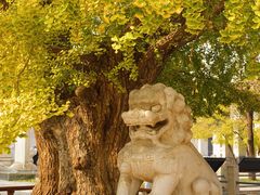 -北京石刻艺术博物馆(五塔寺)