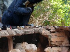 -长鹿旅游休博园