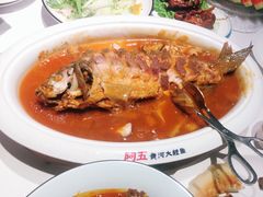 -阿五黄河大鲤鱼(英协路店)