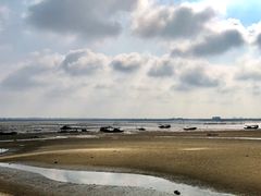 -北海金海湾红树林生态旅游区